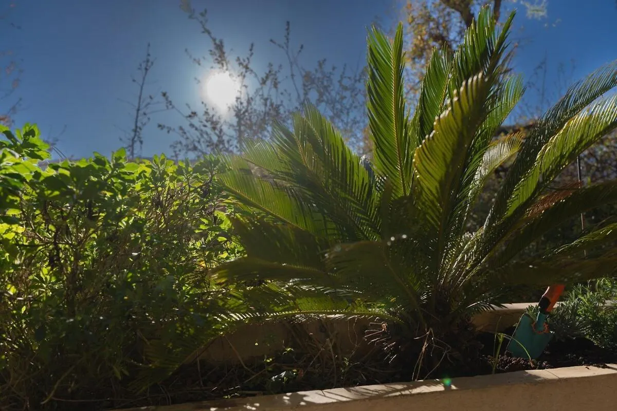 דירות ניס Le Botanique צרפת